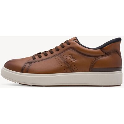 TAMARIS Sneaker bruin - 46 bruin male TAMARIS Sneaker bruin - 46 bruin male