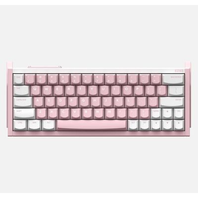 Iqunix EZ63 Pink Magnetic Switch Gaming HE Keyboard gaming toetsenbord Iqunix EZ63 Pink Magnetic Switch Gaming HE Keyboard gaming toetsenbord