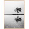 Bildverkstad Lonely Tree Reflection Poster