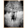 Bildverkstad Deer With Horns Poster