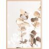 Bildverkstad Eucalyptus Creative Gold I Poster