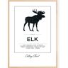 Bildverkstad Elk Cut Chart Poster