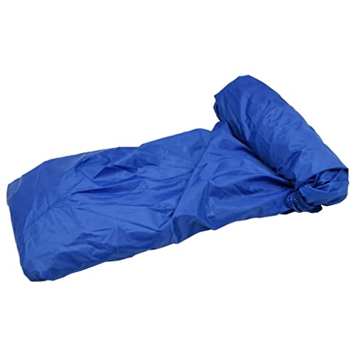 vidaXL Bootzeil 605x289 cm blauw