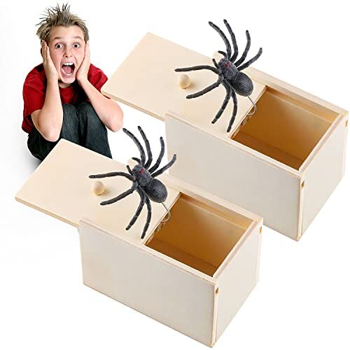 NTGRTY Scare Box 2 stuks grappige artikelen spin in box spider box prank grappige artikelen spin box grap spider scare box voor kinderen volwassenen party favorieten geschenken