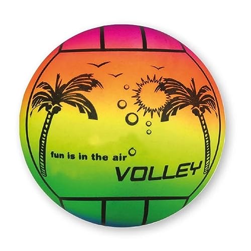 Lively Moments Strandvolleybal/speelbal 23 cm regenboog/strandbal