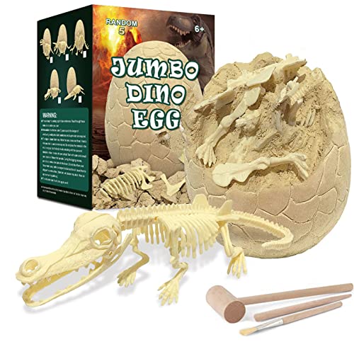 Sloane Dinosaurus fossiele graafkit   Jumbo Dino Ei Opgravingsset   Paaseieren Archeologie en paleontologie speelgoed, STEM-speelgoed voor 4-12 jaar oude jongens meisjes kindercadeau