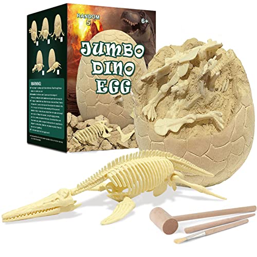 Jildouf 2 Pcs Dinosaurus graafkit   Opgravingssets voor dinosauruseieren,Archeologie Paleontologie Educational Science Gift voor leeftijd 4-12, STEM Science Kit