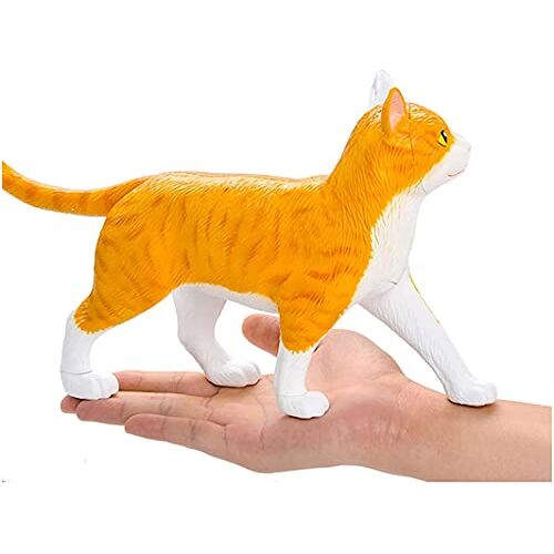 MUSUMI Medische modellen, anatomiemodel kat anatomisch model, 4D visie tabby oranje kat skelet anatomisch model, medisch onderwijsmodel kat anatomiemodel