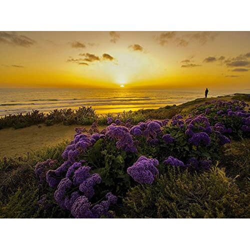 FRUKAT puzzel 500 stukjes,kleurrijk legspel voor het hele gezin-Stille Oceaan, oceaan, Californië, zonsondergang, 52x38cm