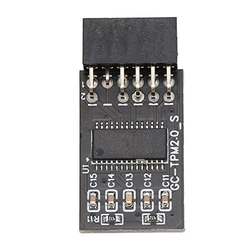 NEZE 12-pins externe kaartcodering Beveiligingsmodule, pc-computerarchitectuur LPC-interface TPM-module Systeemcomponenten, 12-pins hoge computerbeveiliging