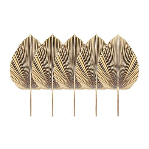 Sujhyrty 5Pcs Natuurlijke Gedroogde Palm Bladeren Tropische Gedroogde Palm Fans Boho Droge Bladeren Decor Keuken Bruiloft