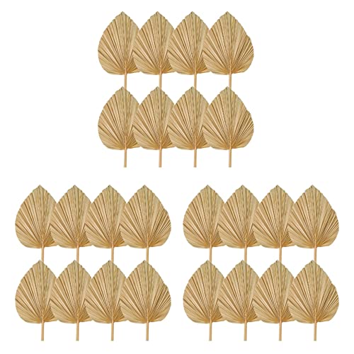 Ronlok 24 STKS Gedroogde Palm Bladeren Decoraties Bijgesneden Gedroogde Palm Palm Fans Tropische Gedroogde Bruiloft Bloemen Boho Bruiloft Decor