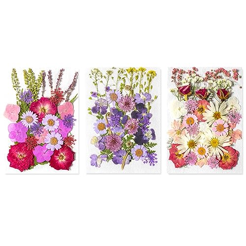 SRMAN 3Pack Gedroogde Geperste Bloemen Droge Bloemen voor Echte Droge Bloemen Bladeren Set Gedroogde Bloemen