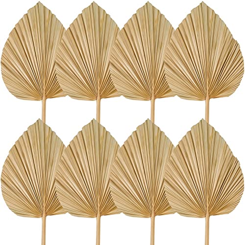 Frefgikty 8 STKS Gedroogde Palmbladeren Decoraties Bijgesneden Gedroogde Palm Palm Fans Tropische Gedroogde Bruiloft Bloemen Boho Bruiloft Decor