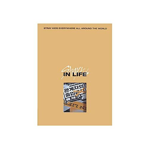 Stray Kids IN LIFE Standaard Versie (B Type) IN de 1e Repackage Album CD+Fotoboek+Fotokaarten+Ansichtkaart+(Extra 4 Fotokaarten + 1 Dubbelzijdige Fotokaart)