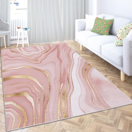 BanbE Vloerkleden voor woonkamer, slaapkamer, roze marmer, 1,2 x 1,80 m, super zachte pluizige pluche tapijten, antislip moderne tapijten, pluizig tapijt voor kinderkamer, kinderkamer woondecoratie