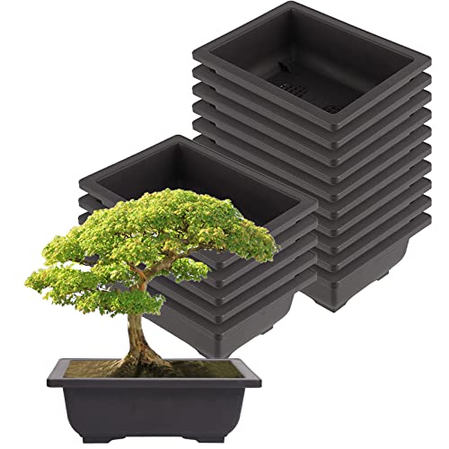 ZEONHEI 15 stuks kunststof bonsaipot groot, Bonsai schaal met onderzetter, rechthoekige bonsai-plantenbak, bloempot met dienblad voor potplanten binnen en buiten, zwart, 22,5 x 16,5 x 7,5 cm