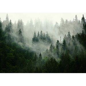 Fototapete Consalnet Forwall Fotobehang bos mist natuur bomen landschap Scandinavisch woonkamer slaapkamer fleece behang wandbehang uv-bestendig klaar voor montage (13026, V8 (368x254 cm) 4 banen)