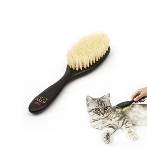 LucyBalu ® Kattenborstel kort en lang haar, vachtborstel voor katten, kattenkam voor vachtverzorging van katten, dierenhaarborstel voor katten, kattenhaarborstel met agavevezelborstelharen en houten
