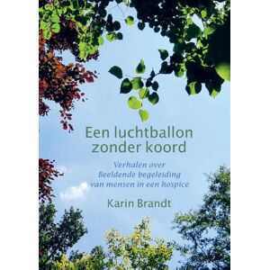 Brandt Een luchtballon zonder koord - Karin Brandt - Hardcover (9789082913415)