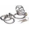 XR Brands - Master Series The Pen Deluxe Locking Chastity Cage - Silver