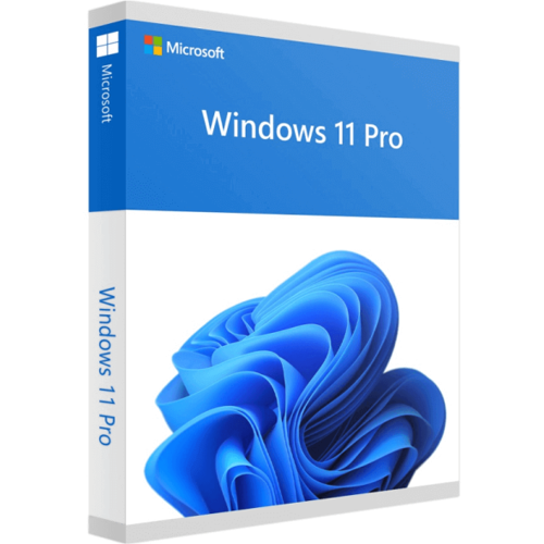 Microsoft Windows 11 Pro