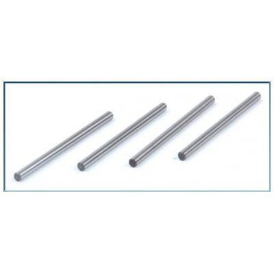 LRP Hinge Pin Set (4pcs) - Rebel LRP Hinge Pin Set (4pcs) - Rebel