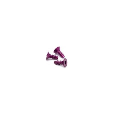 HPI - Aluminium vlakkop schroef 3 x 8mm - Paars - 5stuks - Screw HPI - Aluminium vlakkop schroef 3 x 8mm - Paars - 5stuks - Screw