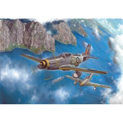 Italeri 1/48 Mustang Mk.lVa Italeri 1/48 Mustang Mk.lVa