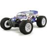 FTX Bugsta electro monster truck RTR