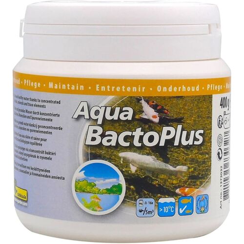 vidaXL Vijverwaterbehandeling Aqua Bacto Plus 400 ml voor 80000 L