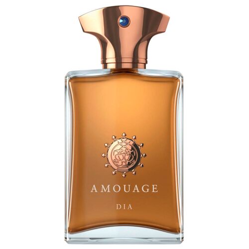 AMOUAGE Iconic Dia Man Eau de Parfum 100 ml