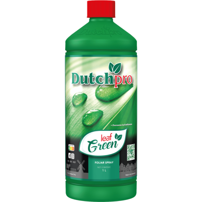 Dutch Pro Dutch Pro Leaf Green Dutch Pro Dutch Pro Leaf Green