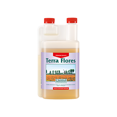 Canna Canna Terra Flores Canna Canna Terra Flores