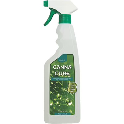 Canna Canna Cannacure Canna Canna Cannacure