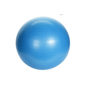 XQ Max Yoga bal/Fitnessbal – Inclusief Pomp – 65 cm – Blauw