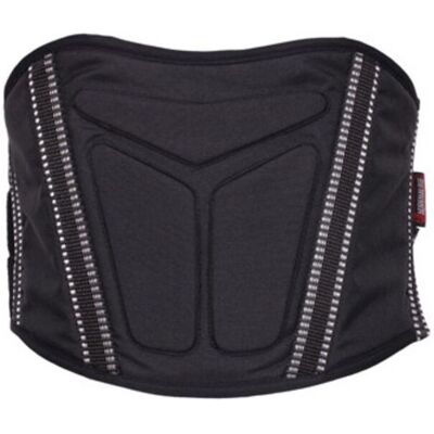 ADRENALINE GTX 2.0 Zwart Unisex Knie- en niergordel - Steun ADRENALINE GTX 2.0 Zwart Unisex Knie- en niergordel - Steun