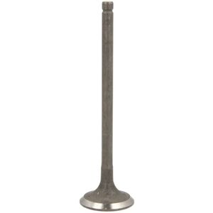 Motorventiel FRECCIA R6569/RNT voor Hyundai i10, Getz - 27mm, 45° Motorventiel FRECCIA R6569/RNT voor Hyundai i10, Getz - 27mm, 45°