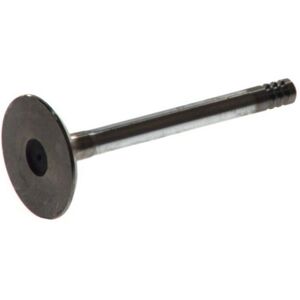 FRECCIA R4641/SCR Klep voor VW Golf 2/3, Passat B2 FRECCIA R4641/SCR Klep voor VW Golf 2/3, Passat B2