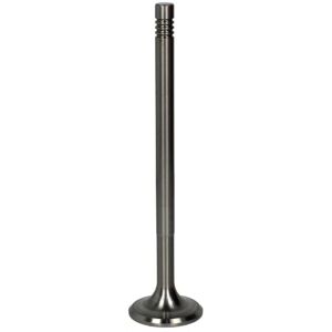 Uitlaatklep PARADOWSCY PSCA017 - Klep met 45° zit, chrome stift Uitlaatklep PARADOWSCY PSCA017 - Klep met 45° zit, chrome stift