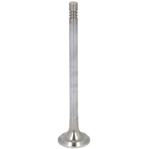 FRECCIA Motorklep - 6798/BM FRECCIA Motorklep - 6798/BM