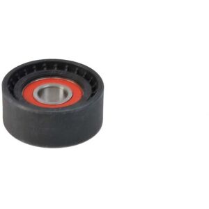 BTA E2R5554BTA V-snaar spanner pulley BTA E2R5554BTA V-snaar spanner pulley