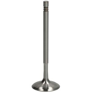 TRW Motorventiel - Verchroomde stift - 33,2mm schijf - 102,8mm lengte - Motorventiel TRW Motorventiel - Verchroomde stift - 33,2mm schijf - 102,8mm lengte - Motorventiel