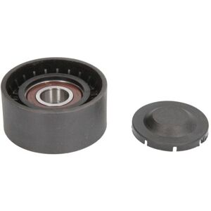 BTA E2R0035BTA Spanner Pully - Pully Tendeur, trapeziumriem BTA E2R0035BTA Spanner Pully - Pully Tendeur, trapeziumriem
