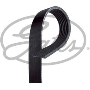 GATES 7PK2968 - V-riem - 24,9mm x 2968mm - Zwart GATES 7PK2968 - V-riem - 24,9mm x 2968mm - Zwart