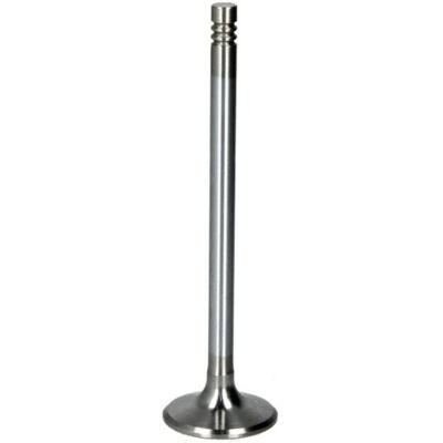 FRECCIA BMW Klep R6619/SCR Verchroomde Stang - Klep FRECCIA BMW Klep R6619/SCR Verchroomde Stang - Klep