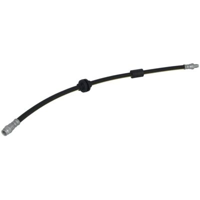 FEBI BILSTEIN 183774 - Flexibele remslang FEBI BILSTEIN 183774 - Flexibele remslang