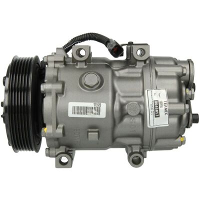 TEAMEC 8646017 Airconditioning Compressor - Reconditioned TEAMEC 8646017 Airconditioning Compressor - Reconditioned