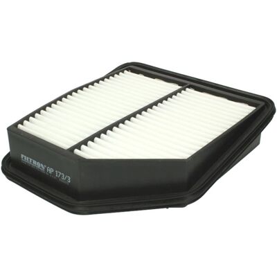 Filtron Luchtfilter AP 173/3 - Luchtfilter Filtron Luchtfilter AP 173/3 - Luchtfilter