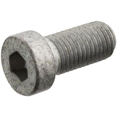 FEBI BILSTEIN M12 x 1,5 Zeskantbout - Schroef FEBI BILSTEIN M12 x 1,5 Zeskantbout - Schroef